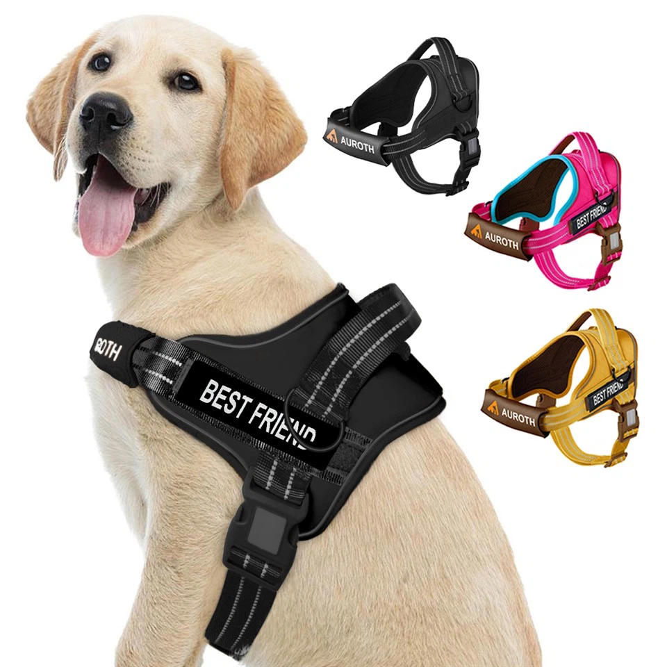 Personalised No Pull Dog Harness Personalised No Pull Dog Harness