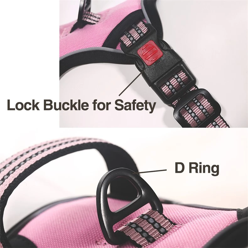product-790-790 product-790-790