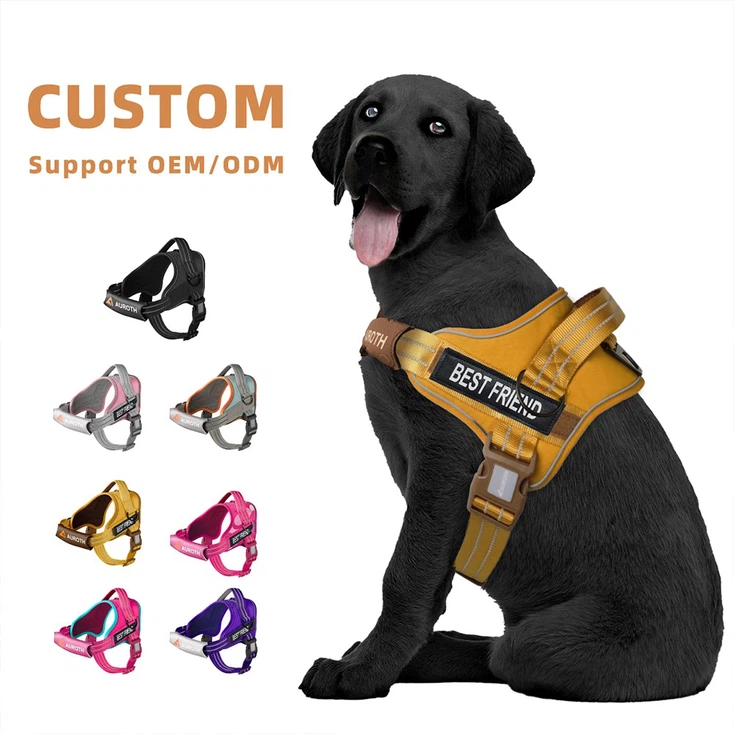 personalized no pull dog harness 7 personalized no pull dog harness 7